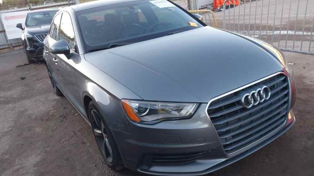 Головне фото статті 