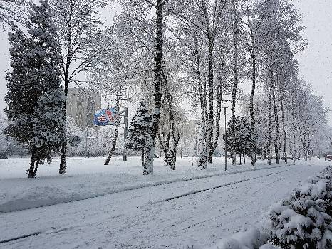 Фотографія підприємства №4