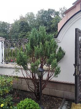 Фотографія підприємства №12