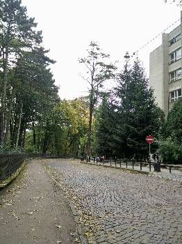 Фотографія підприємства №13
