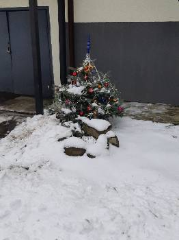 Фотографія підприємства №1