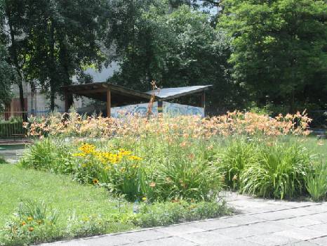 Фотографія підприємства №15