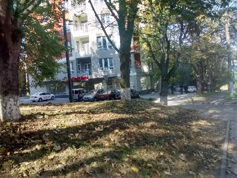 Фотографія підприємства №2