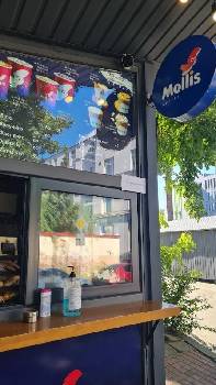 Mollis coffee