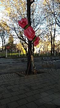 Фотографія підприємства №15