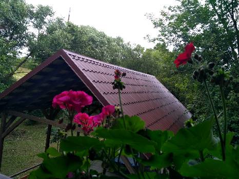 Фотографія підприємства №14