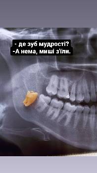 Фотографія підприємства №17