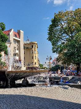 Фотографія підприємства №15