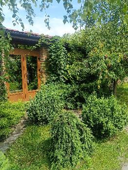 Фотографія підприємства №8