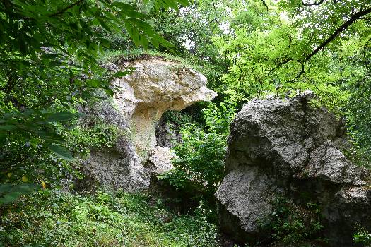 Фотографія підприємства №4