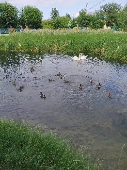 Фотографія підприємства №2