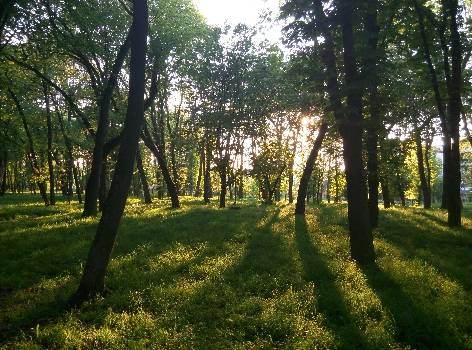 Фотографія підприємства №14
