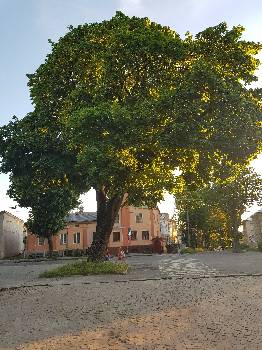 Фотографія підприємства №19