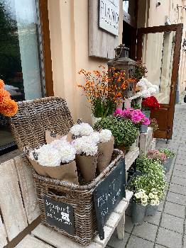 Фотографія підприємства №4