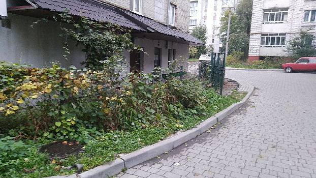 Фотографія підприємства №1