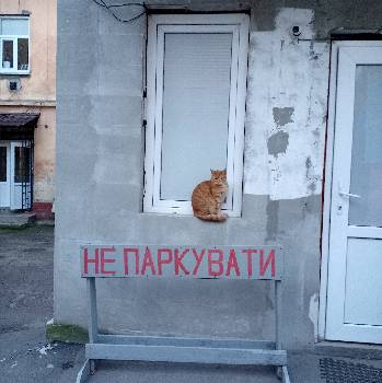 Фотографія підприємства №18