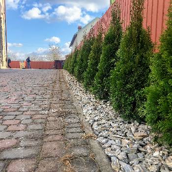 Фотографія підприємства №18