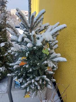 Фотографія підприємства №14