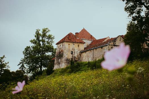 Фотографія підприємства №0