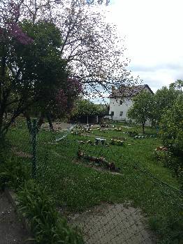 Фотографія підприємства №10