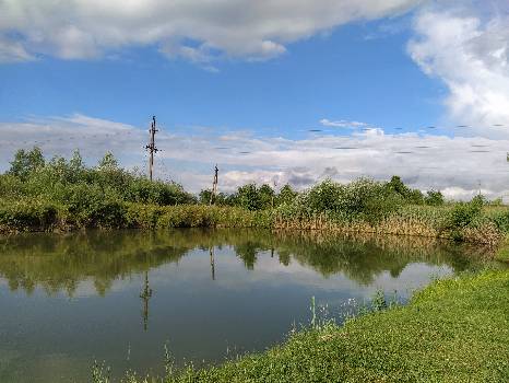 Фотографія підприємства №2