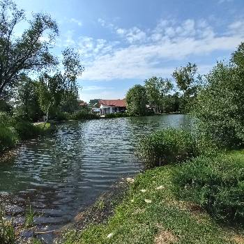 Фотографія підприємства №4