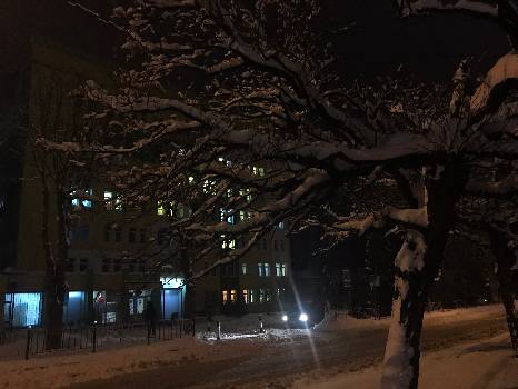 Фотографія підприємства №4