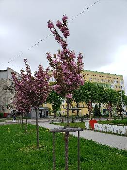 Фотографія підприємства №5