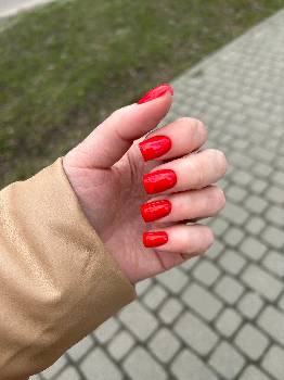 Фотографія підприємства №4
