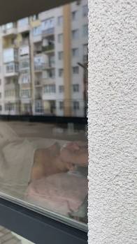 Фотографія підприємства №7