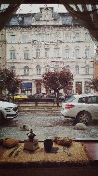 Фотографія підприємства №15