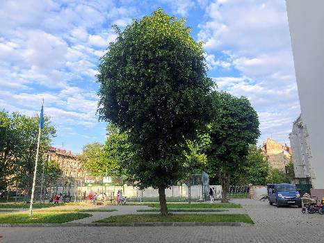 Фотографія підприємства №18