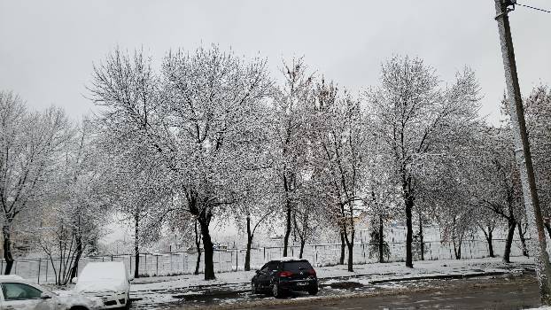 Фотографія підприємства №3