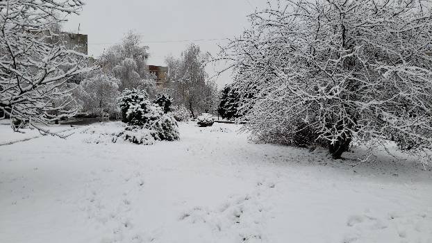 Фотографія підприємства №4
