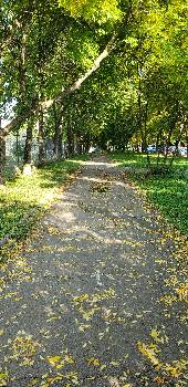 Фотографія підприємства №7
