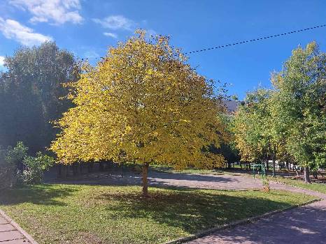 Фотографія підприємства №5