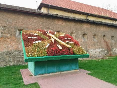Фотографія підприємства №13
