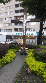Фотографія підприємства №17