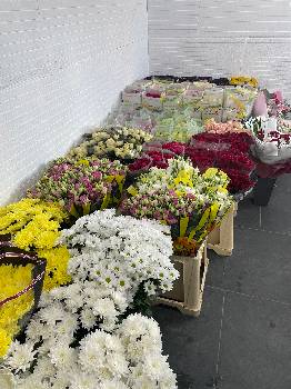 Фотографія підприємства №4